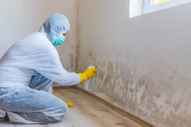 Mold Remediation specialist working in Barnesville